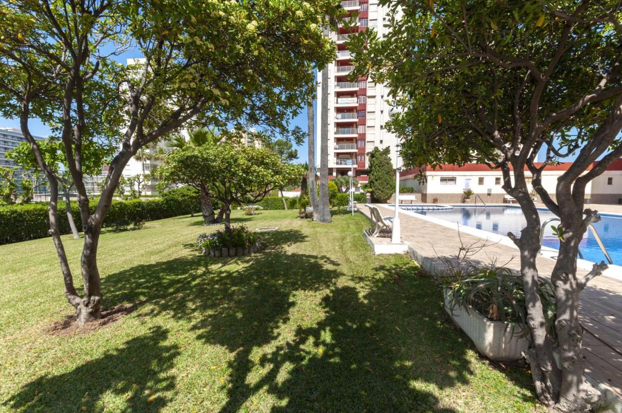 Ag Aquarium Appartement Playa de Gandia Buitenkant foto
