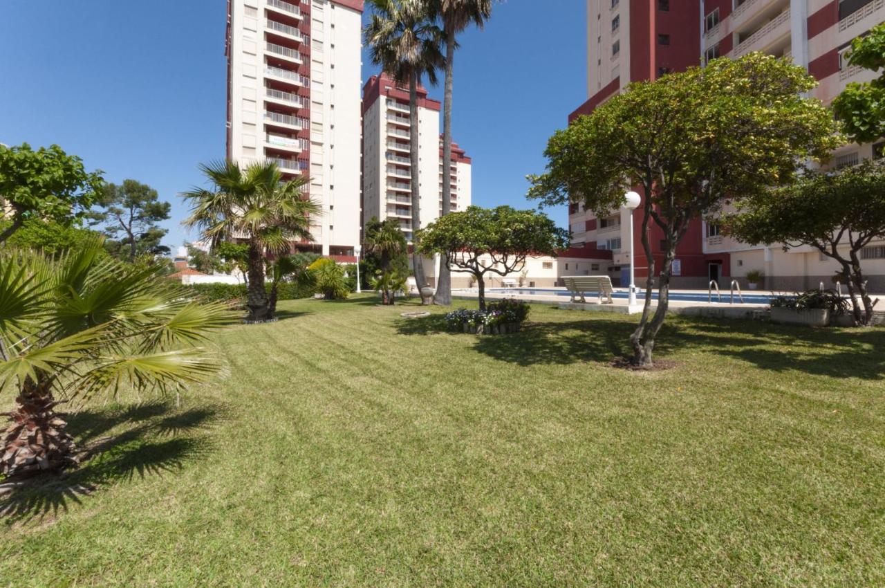 Ag Aquarium Appartement Playa de Gandia Buitenkant foto